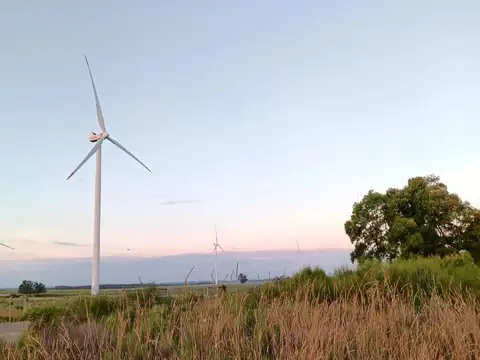 Campo en Venta de 4  ha