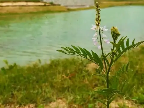 Terreno en Venta en Abril Club De Campo, USD 100.000