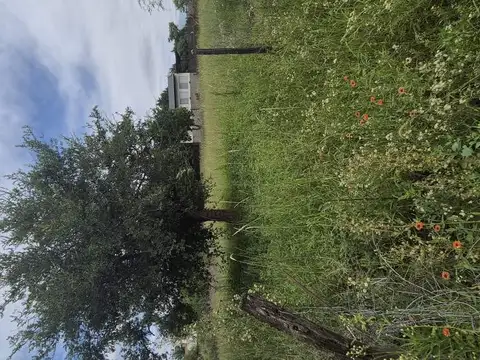 Terreno en Venta de 1090,0 m2