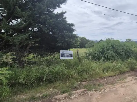 Pública 100