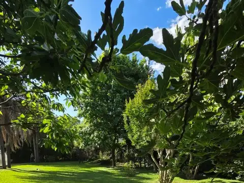 Terreno en Venta en El Jaguel, USD 195.000