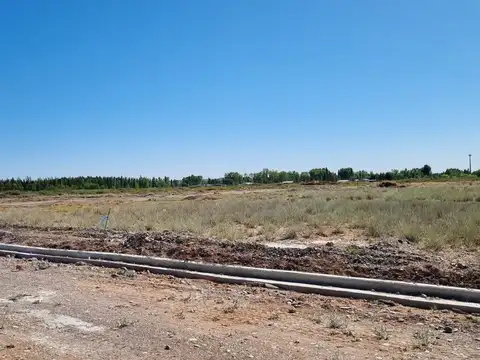VENTA LOTE LAS PETUNIAS