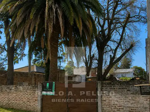 Segurola 300