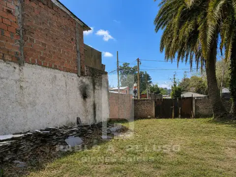 Segurola 300