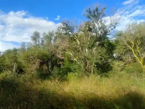 Terreno en Venta 40  mts Fondo