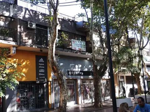 Fernandez De Enciso 3974 , Piso 1