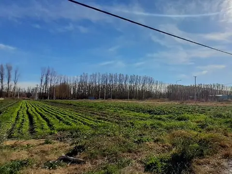 VENTA LOTE VISTA ALEGRE III