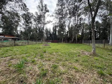 Terreno en Venta 20  mts Frente