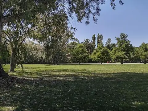 Terreno en Venta 80  mts Fondo