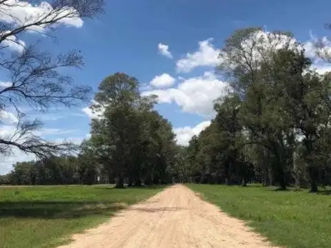 Terreno en Venta en Los Tres Pinos, USD 26.000