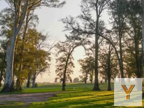Terreno en venta - 1.000mts2 totales - Los Tres Pinos, General Rodríguez