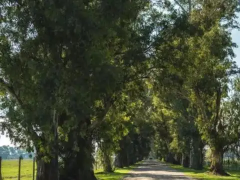 Terreno en Venta de 1000,0 m2