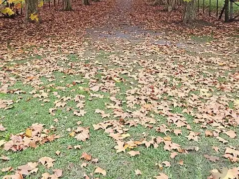 Quinta en Alquiler 15 años