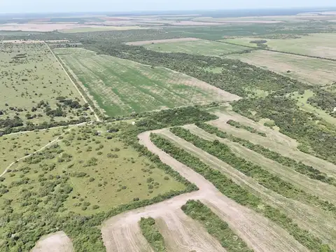 Campo en venta en San Jose de Feliciano