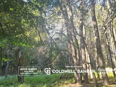 Terreno en Venta en Selva Triste, USD 38.000