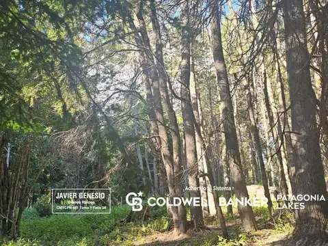 Blvd. Amancay y Blvd. Quetrihue