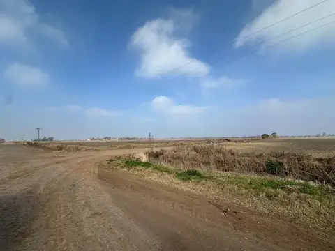 VENTA 51 HECTÁREAS EN ROLDÁN