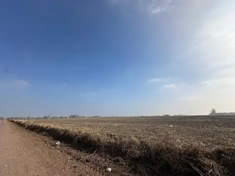 VENTA 51 HECTÁREAS EN ROLDÁN