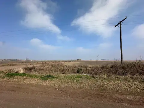 Campo en Venta de 51  ha