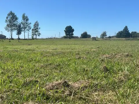 Terreno en Venta de 748,0 m2