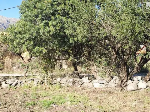 Terreno en Venta en Rincon Del Este, USD 75.000