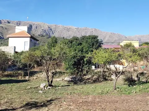 Lote único en Rincón del Este