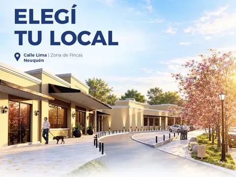 Locales comerciales en venta ? Paseo de Compras Intercountry ? Zona de Fincas, Neuquén