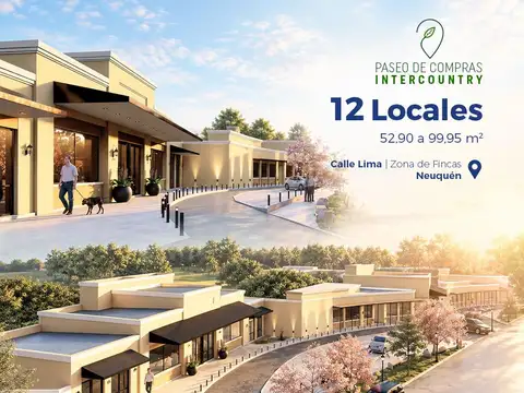 Local en Venta en Plottier, USD 111.111