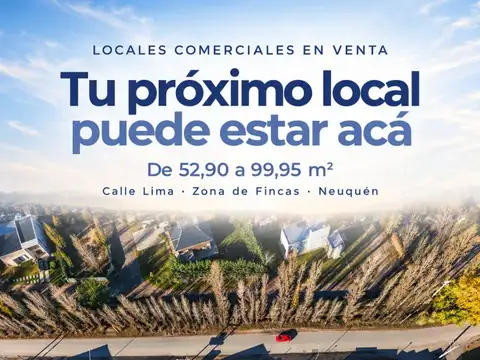 Local en Venta en Plottier, USD 111.111