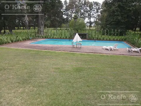 CAMPO DE 55HAS - 100% AGRICOLA - CON IMPORTANTE CASCO PARA DISFRUTAR CERCA DE BS.AS.