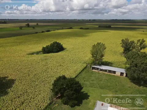 Campo Agricola de 55 has con estupendas mejoras en  San Miguel del Monte
