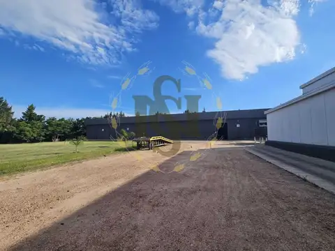 ALQUILER GALPON RUTA 1 SAN JOSE PROXIMO PUERTO DE MONTEVIDEO