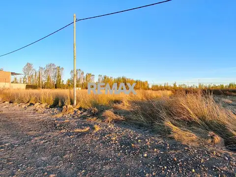 Terreno en Venta en Cipolletti, USD 8.600