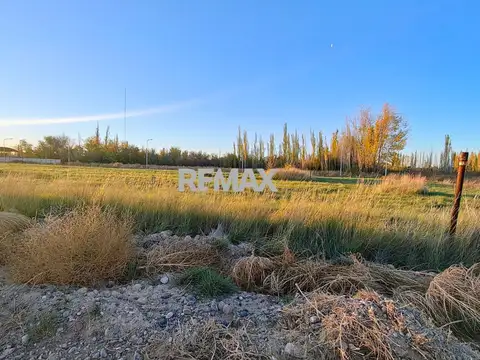 VENTA DE TERRENOS EN LOTEO "LA AGUSTINA" DE ALLEN