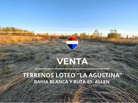 VENTA DE TERRENOS EN LOTEO "LA AGUSTINA" DE ALLEN