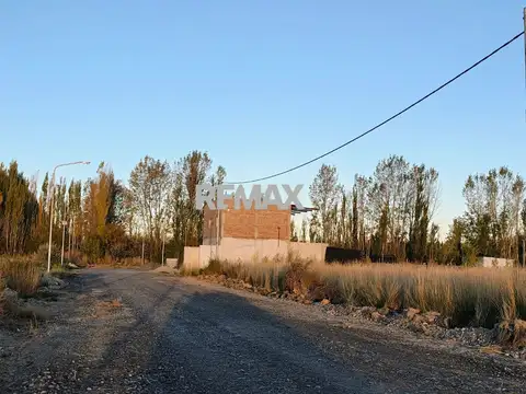 Desconocida