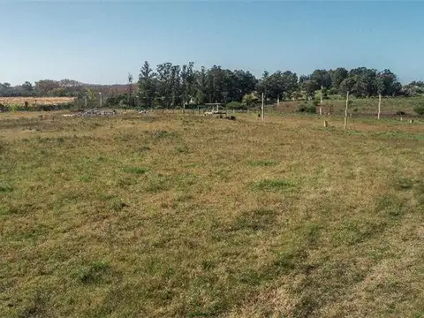 Excelente Posición, 85579 m²
