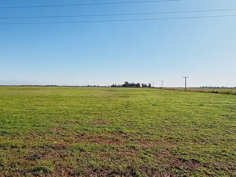 Venta campo en  Pinero