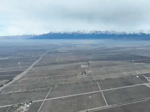 Campo en Venta de 26  ha