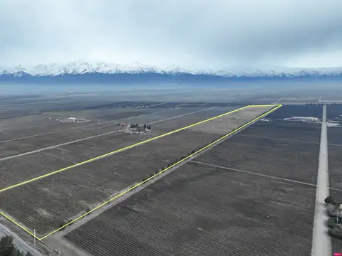 Finca de 25,7 ha con Viñedo Cabernet Sauvignon en Gualtallary – Ruta 89