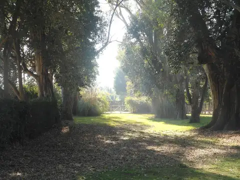 Casa 12 ambientes con 5 baños