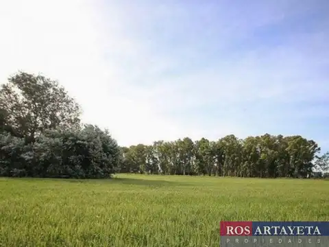 Terreno en Venta en San Andrés de Giles, USD 22.000