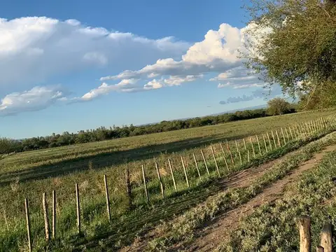 Campo a la venta en Villa Dolores