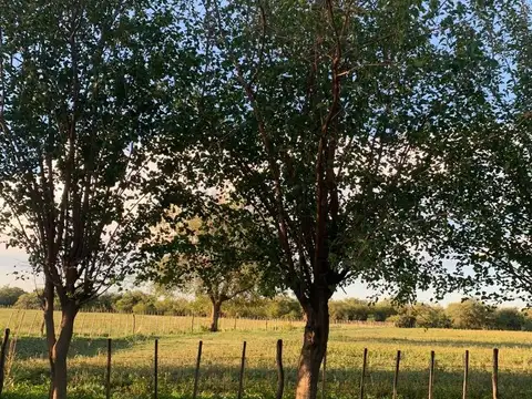 Campo a la venta en Villa Dolores