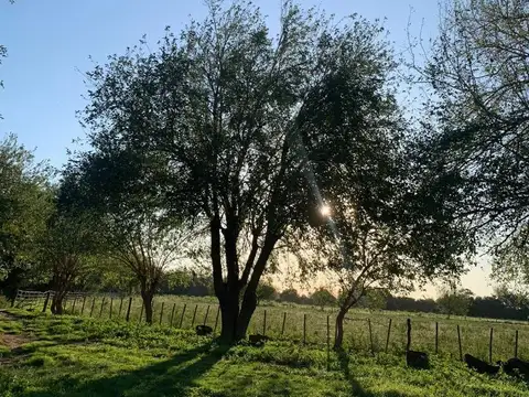 Las Encrucijadas