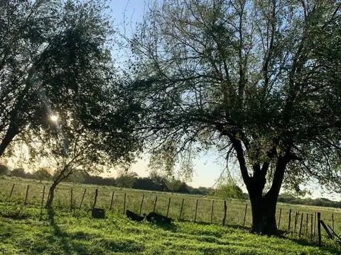 Las Encrucijadas