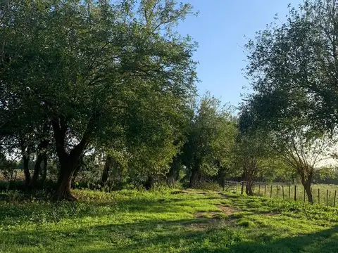 Campo en Venta Agrícola