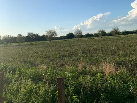 Campo en Venta de 15  ha