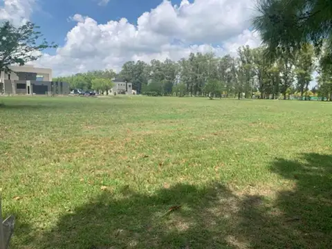 Campos de Roca 2