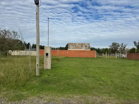 Guadalupe Cuenca- Petion Chico 500